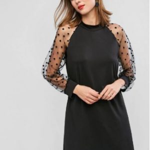 Long Sleeve Polka Dot Mesh Panel Mini Dress