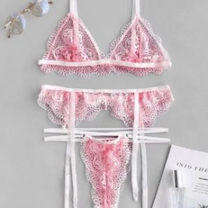 Ombre Lace Garter Contrast Piping Lingerie Set